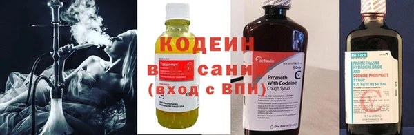 сатива Ельня