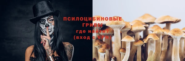 ALPHA PVP Елизово