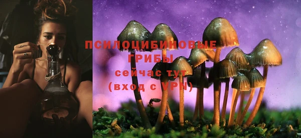 mix Дмитровск