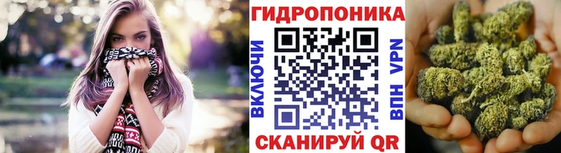 Каннабис SATIVA & INDICA  Купить закладки  Верхняя Пышма 