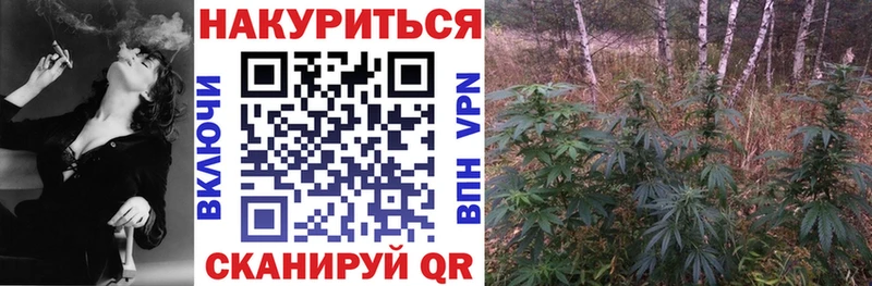 Бошки Шишки OG Kush Верхняя Пышма